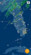 Sample display of Air Traffic over Florida (Property of FlightAware)